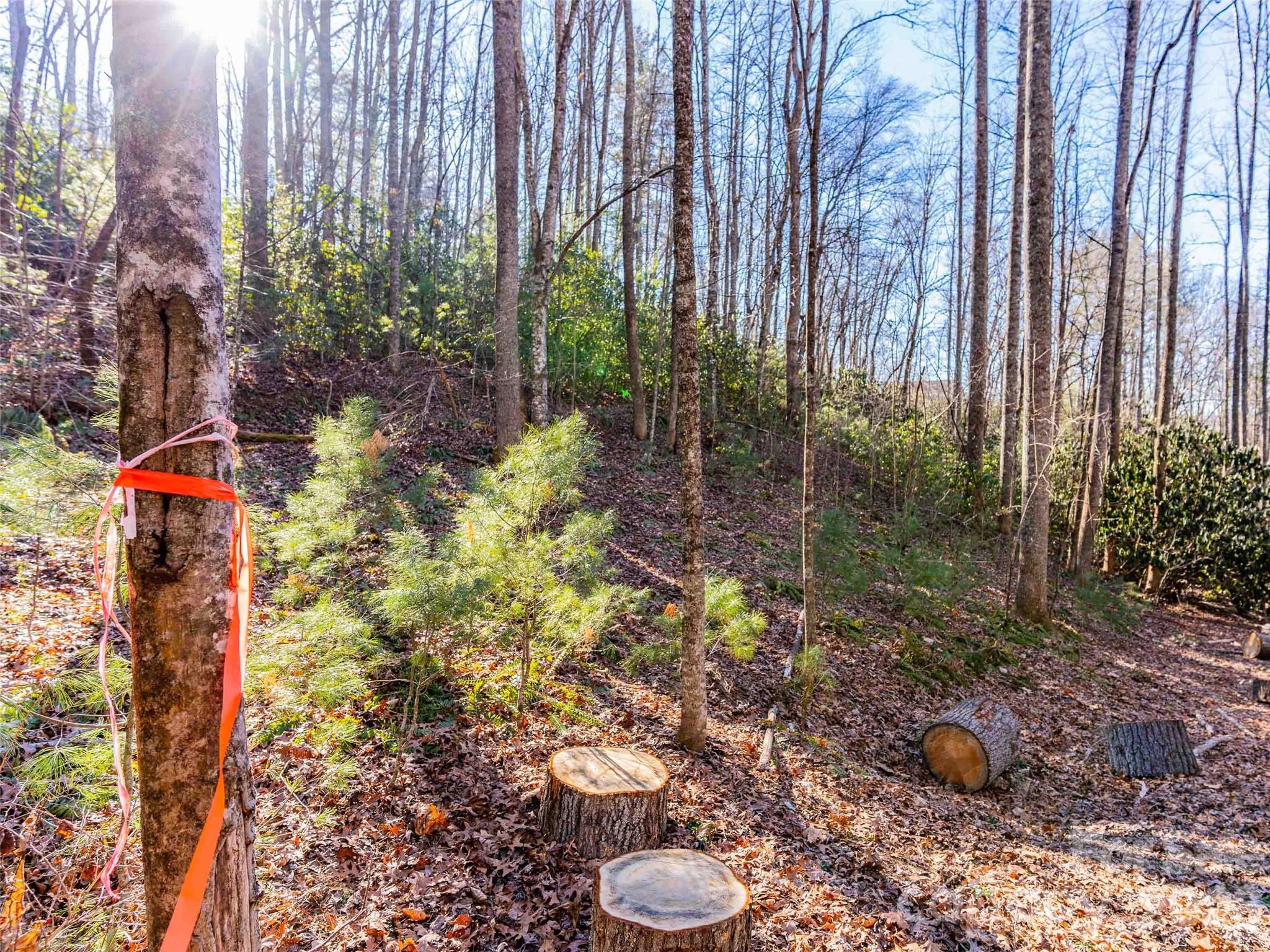 000 Chattooga Run Hendersonville NC 28739