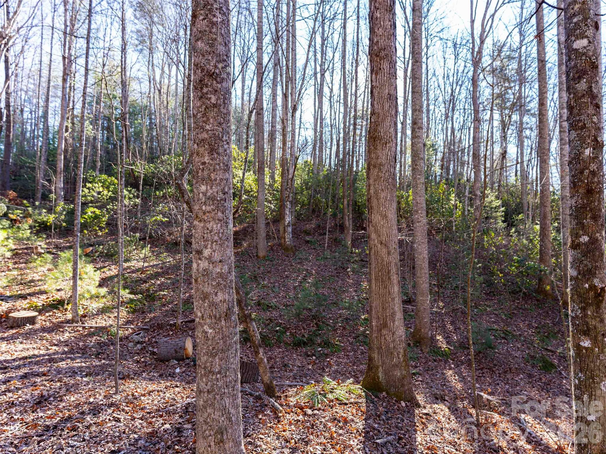 000 Chattooga Run Hendersonville NC 28739