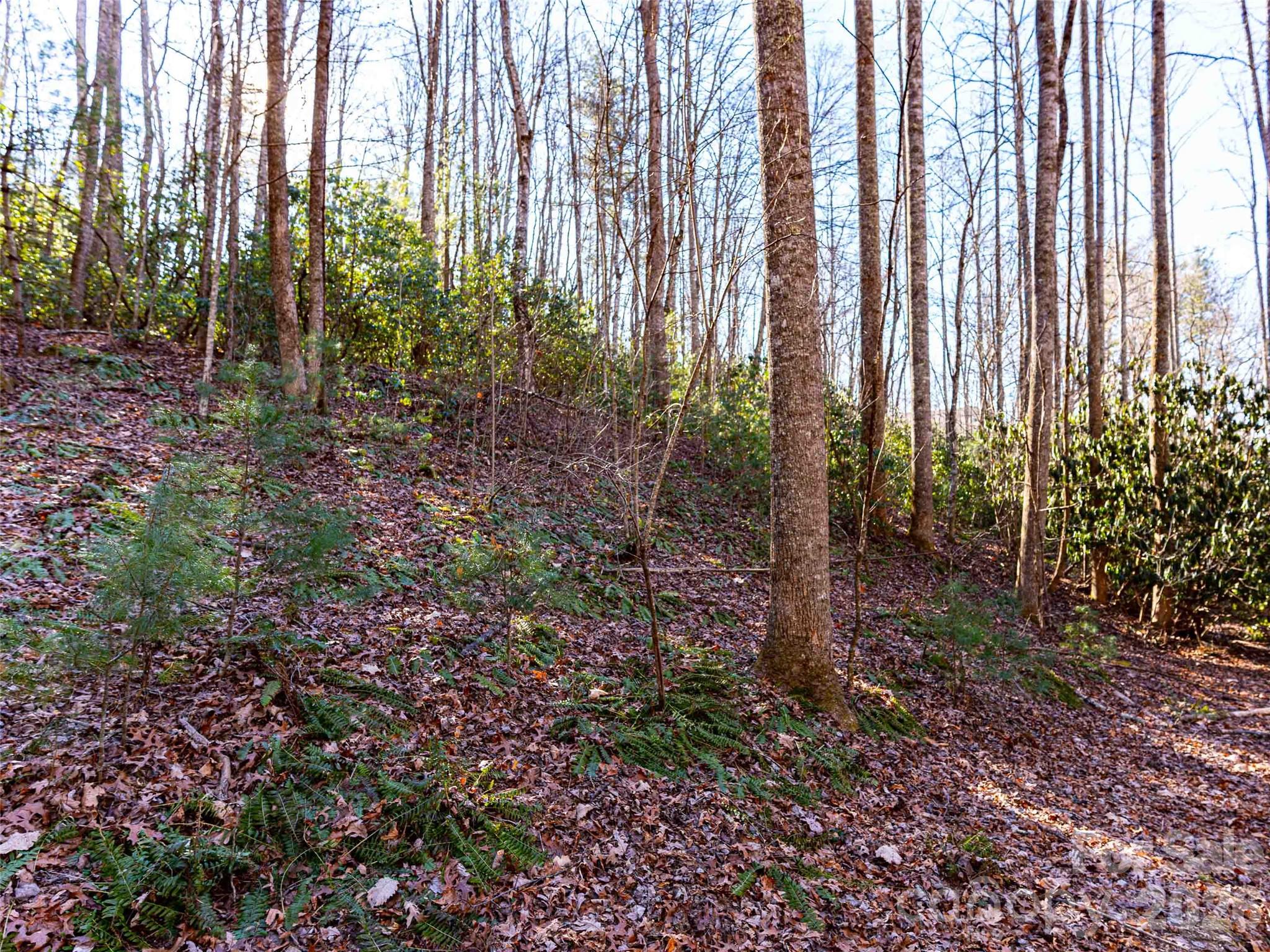 000 Chattooga Run Hendersonville NC 28739