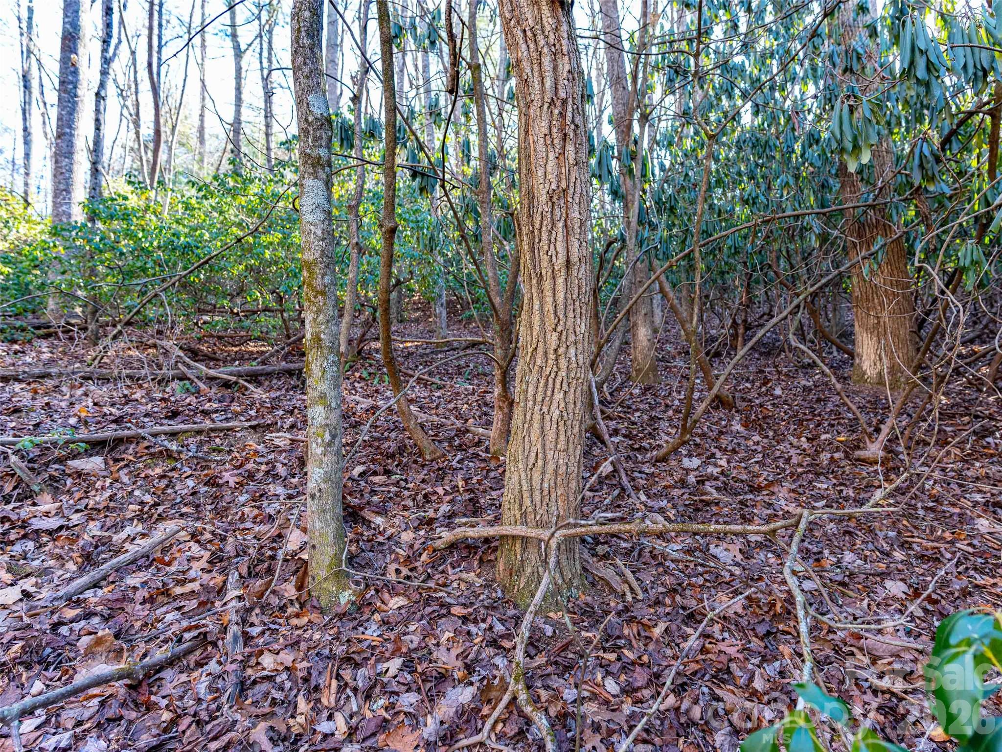 000 Chattooga Run Hendersonville NC 28739