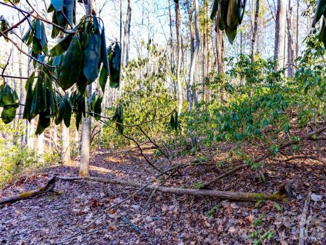 000 Chattooga Run Hendersonville NC 28739