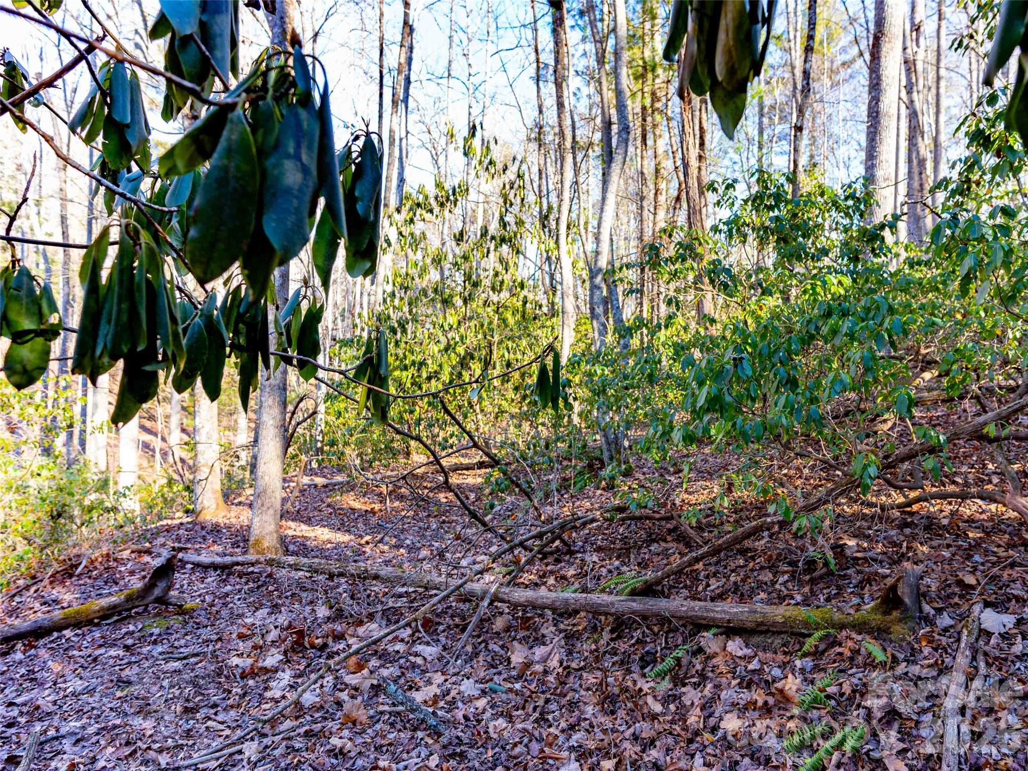 000 Chattooga Run Hendersonville NC 28739