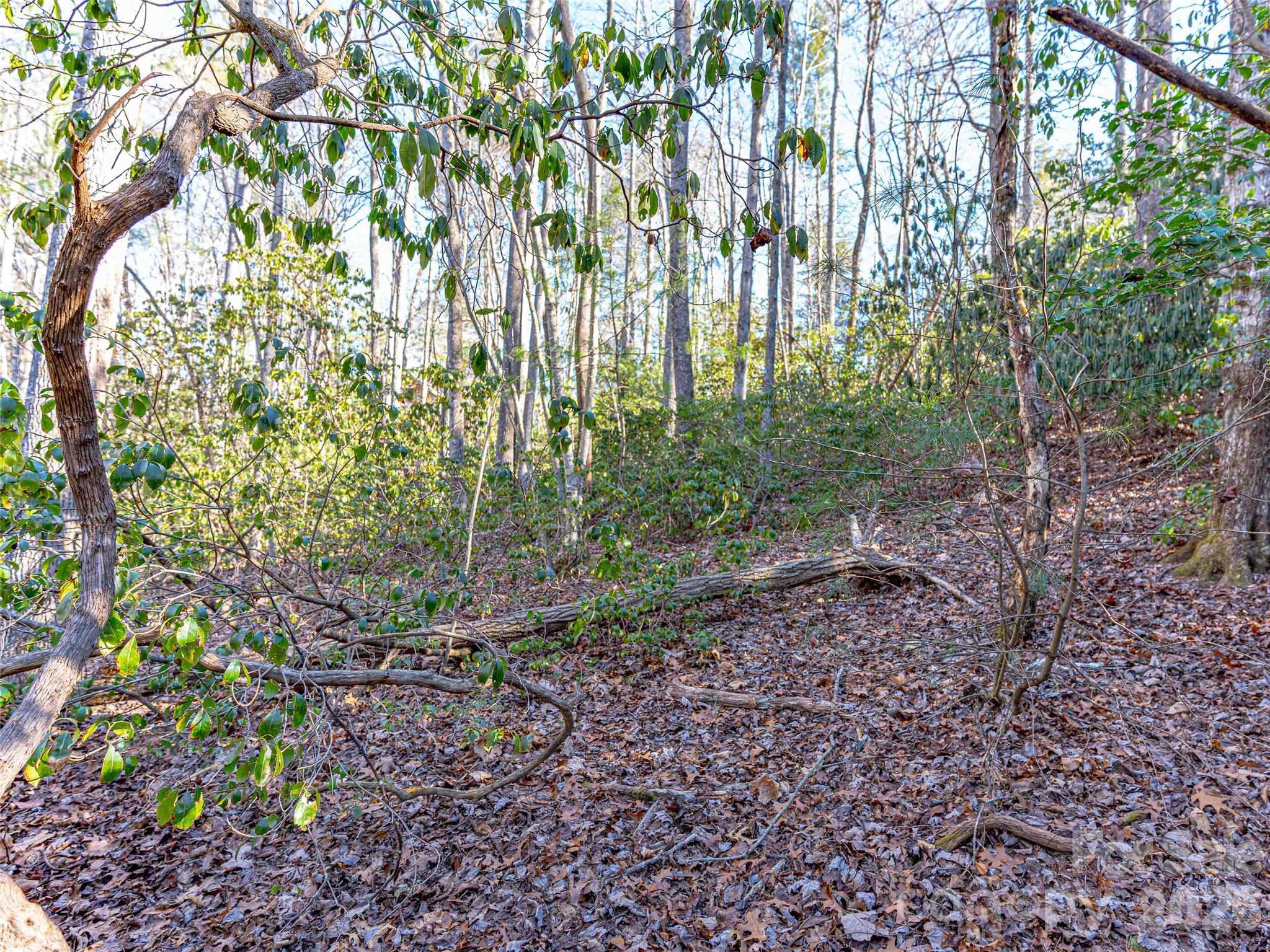 000 Chattooga Run Hendersonville NC 28739