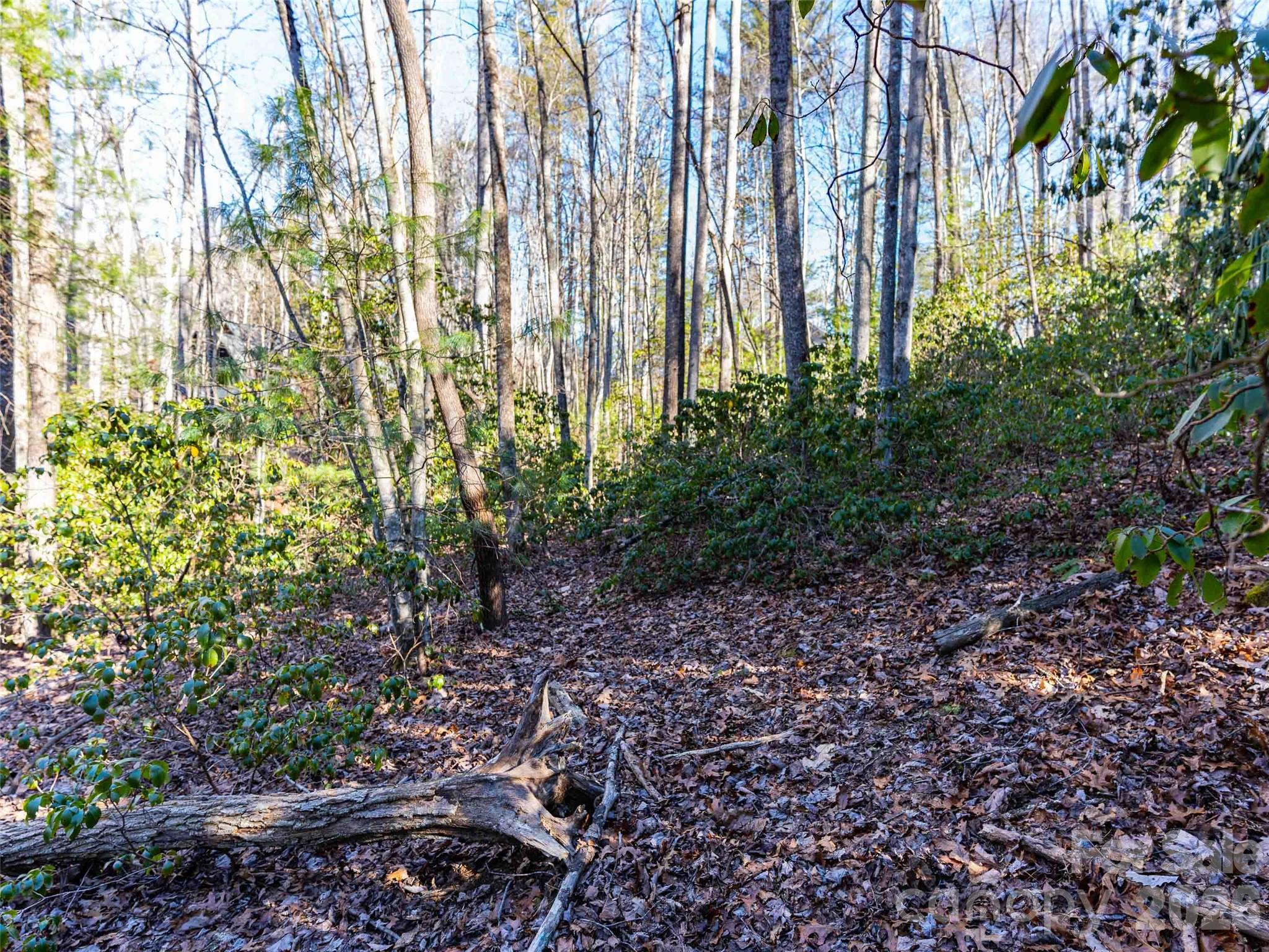 000 Chattooga Run Hendersonville NC 28739