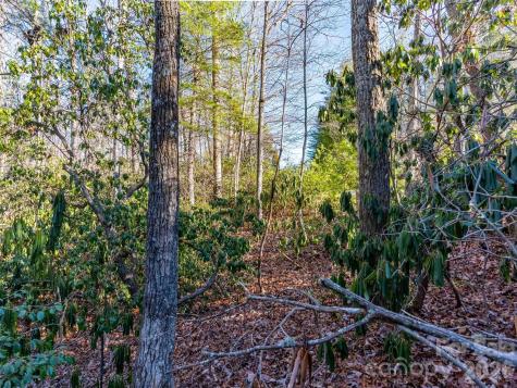 000 Chattooga Run Hendersonville NC 28739