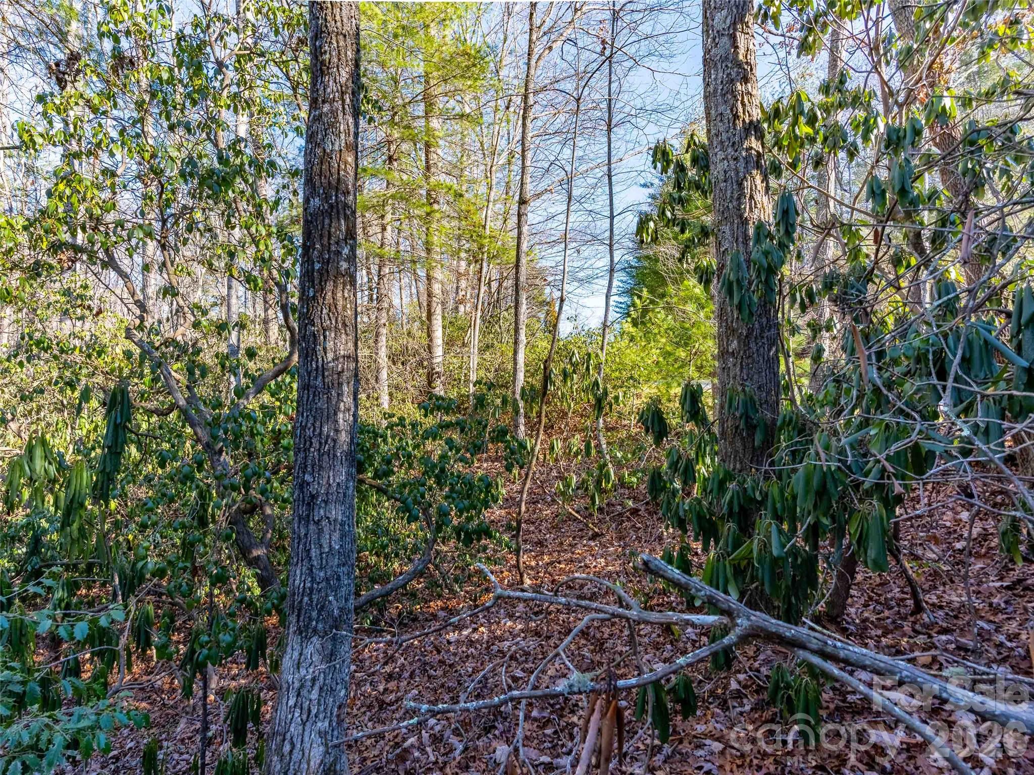 000 Chattooga Run Hendersonville NC 28739