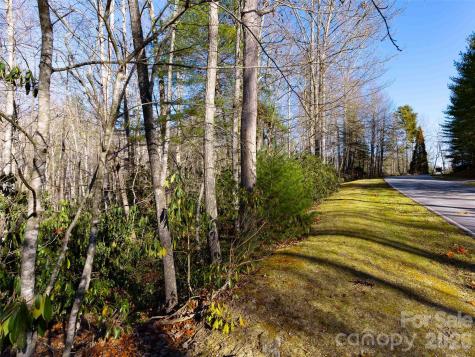 000 Chattooga Run Hendersonville NC 28739