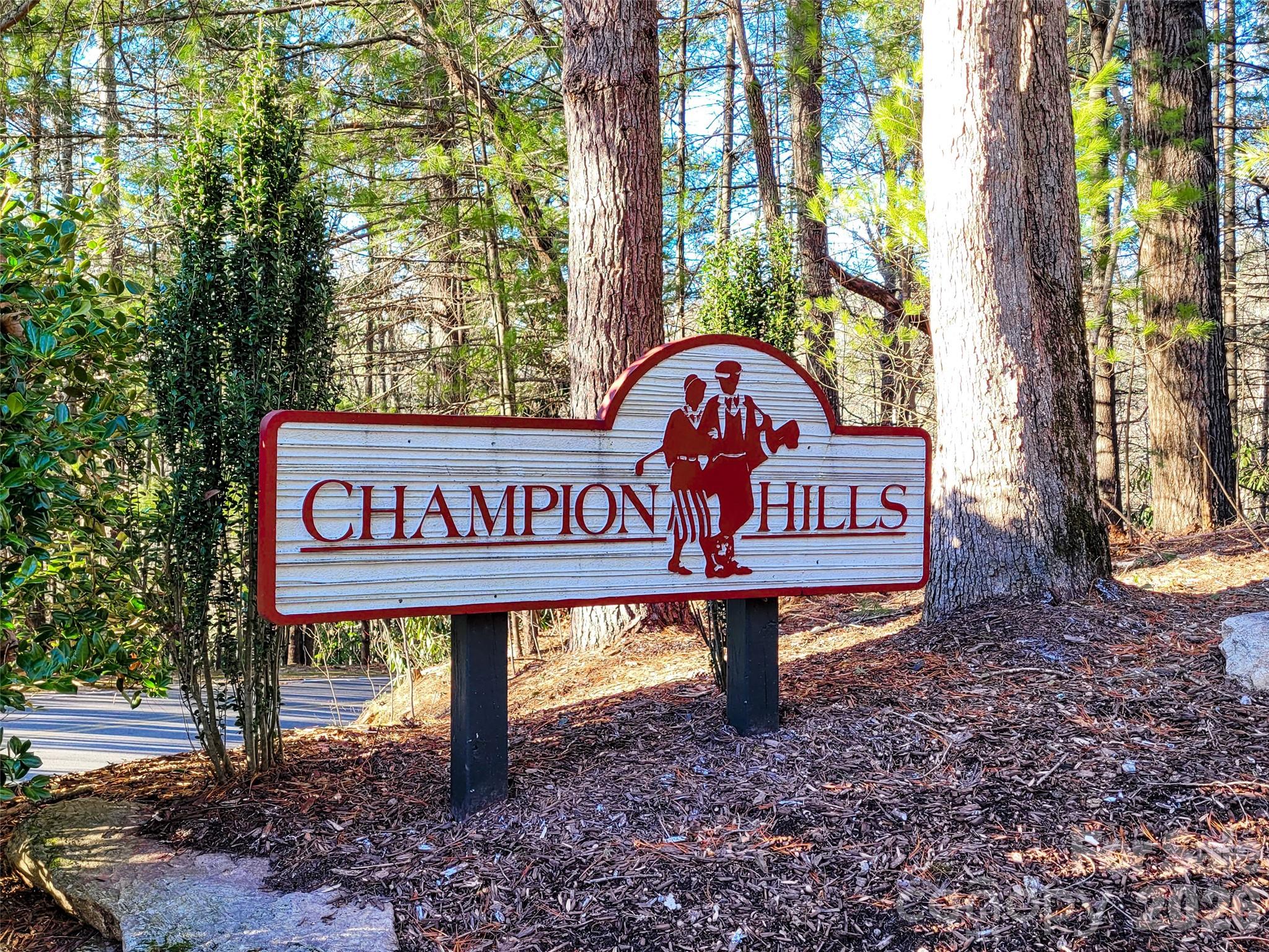 000 Chattooga Run Hendersonville NC 28739