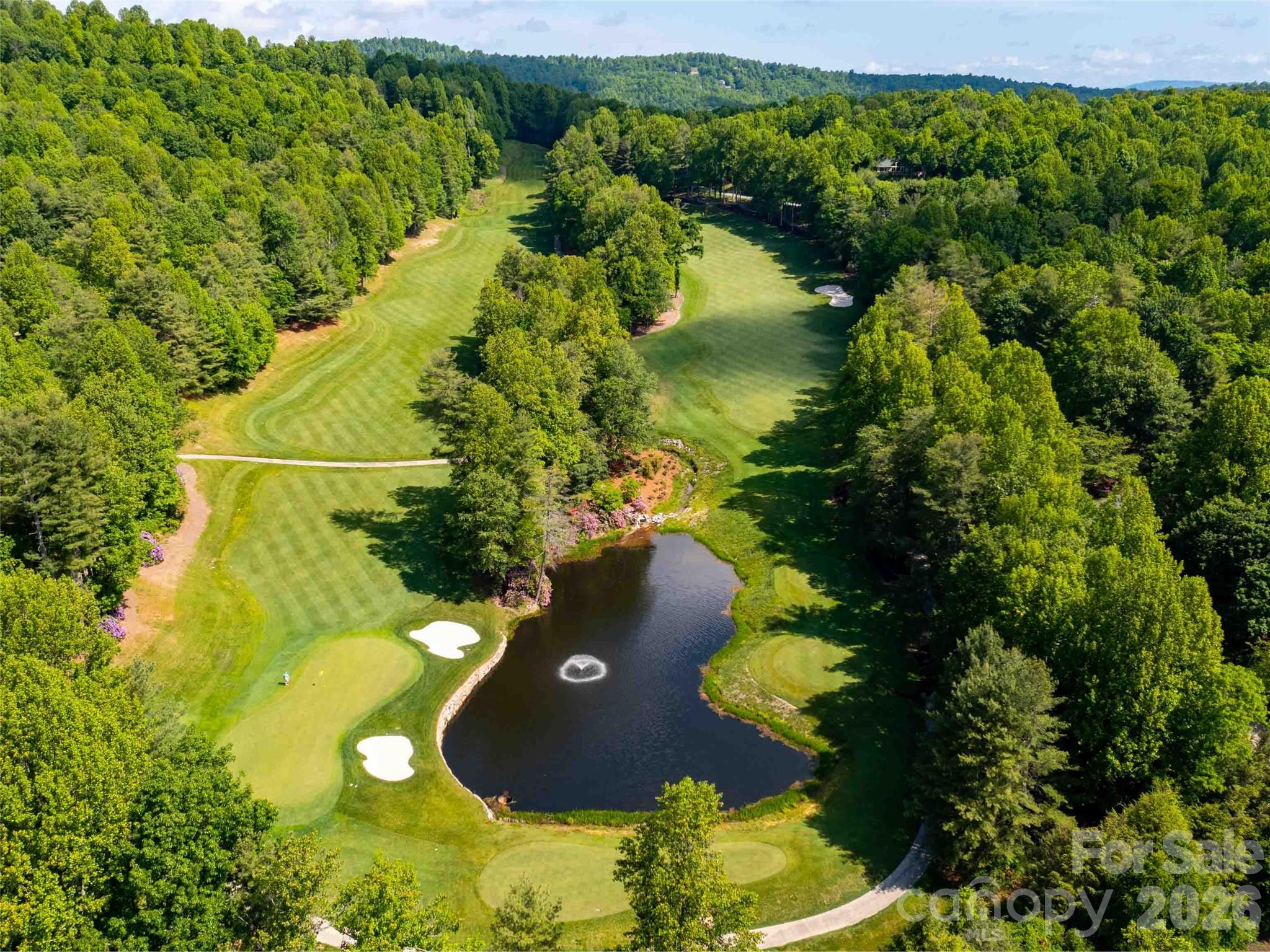 000 Chattooga Run Hendersonville NC 28739