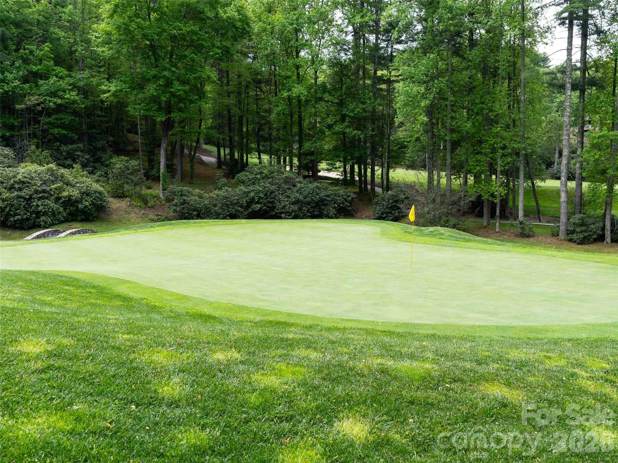 000 Chattooga Run Hendersonville NC 28739