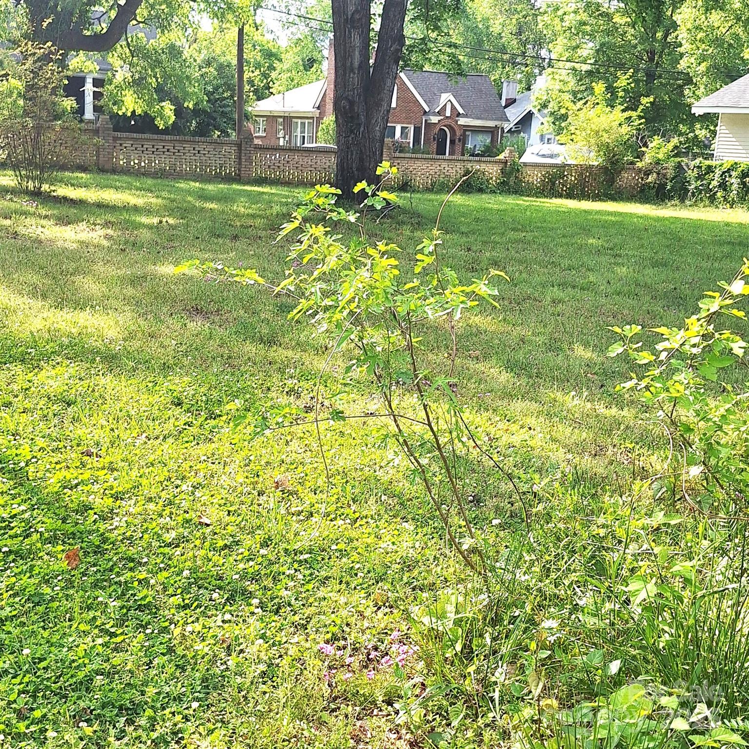 207 Maurice Street Monroe NC 28112