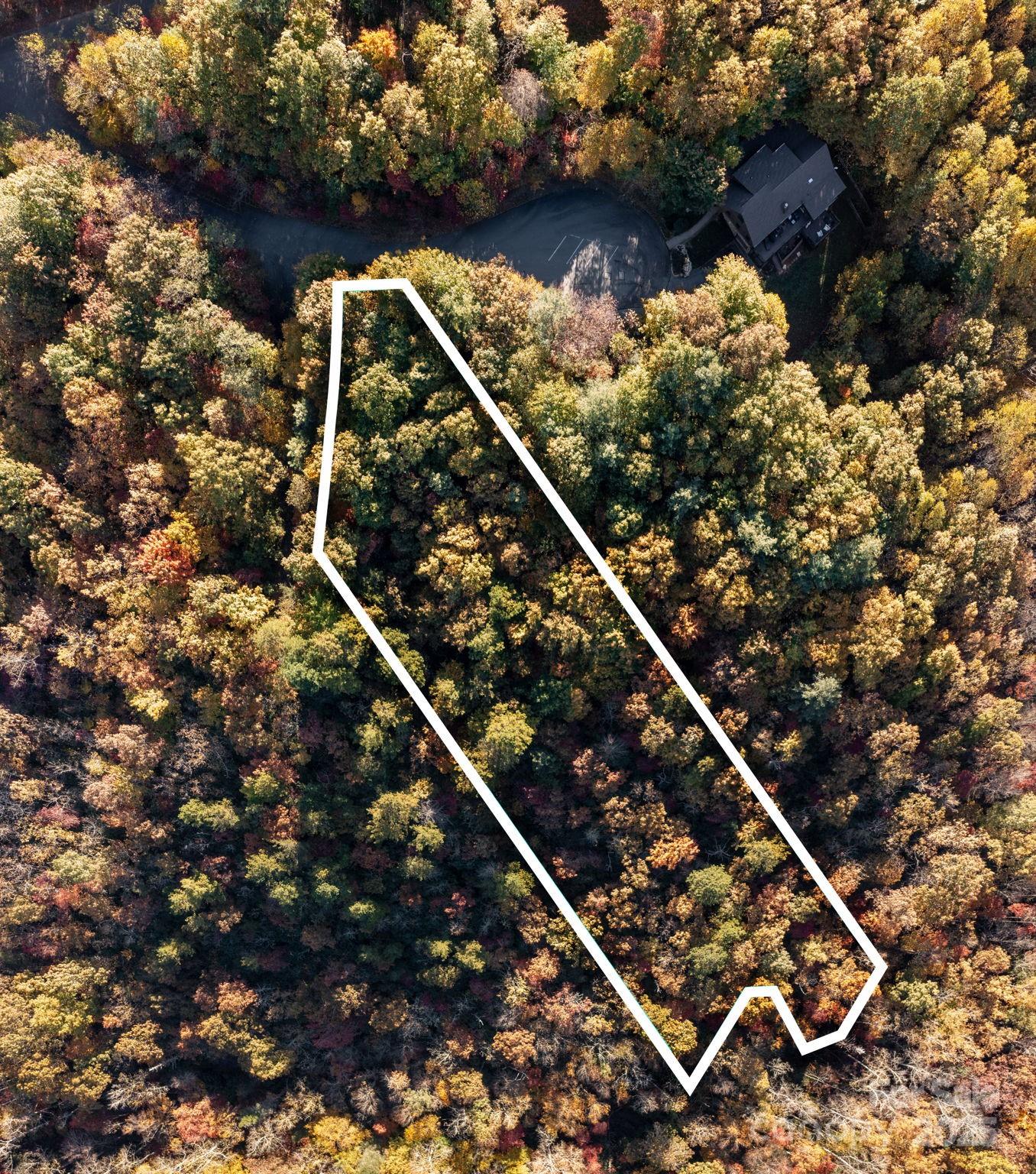 9 Wapama Falls Drive Black Mountain NC 28711