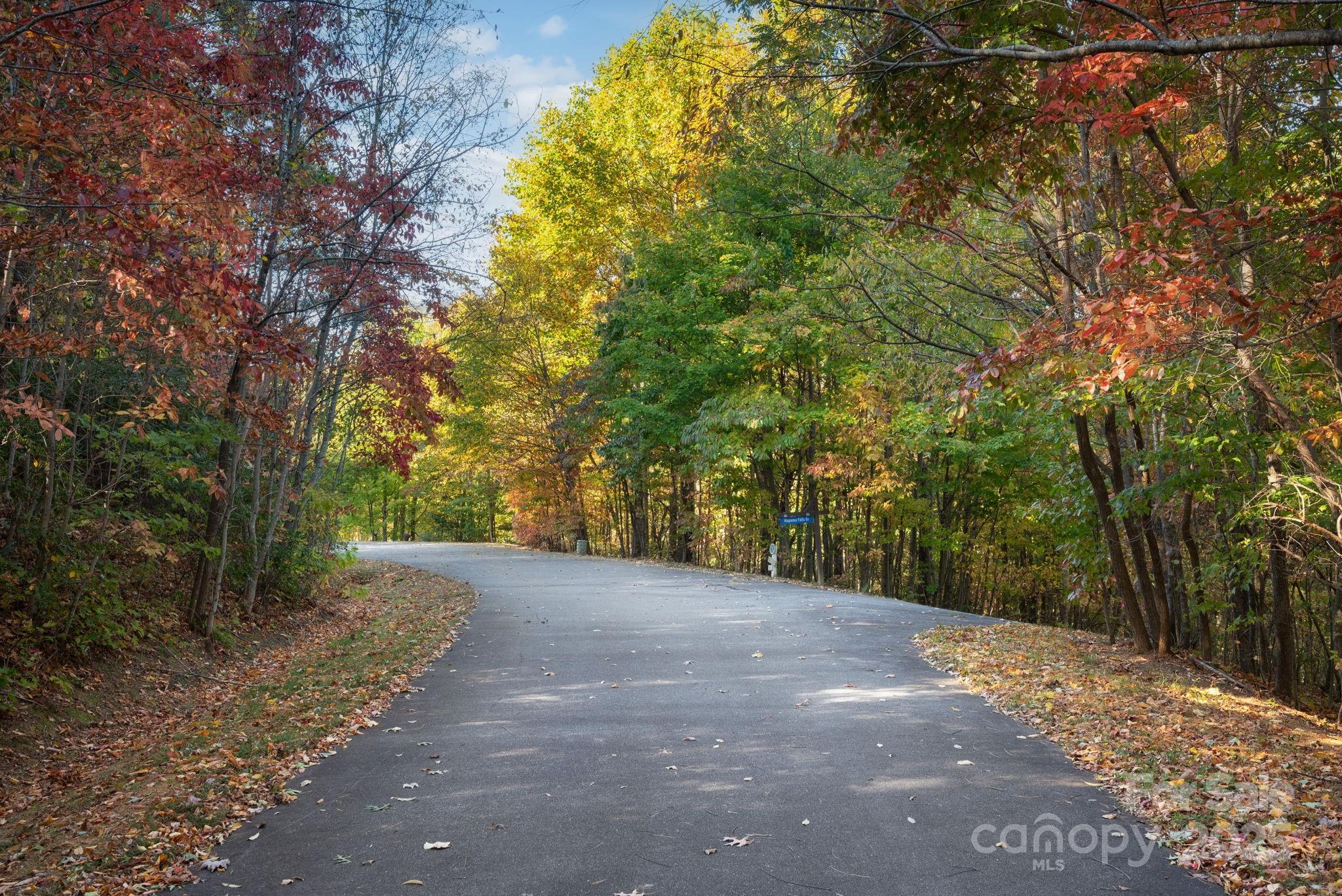 9 Wapama Falls Drive Black Mountain NC 28711