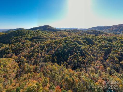 9 Wapama Falls Drive Black Mountain NC 28711