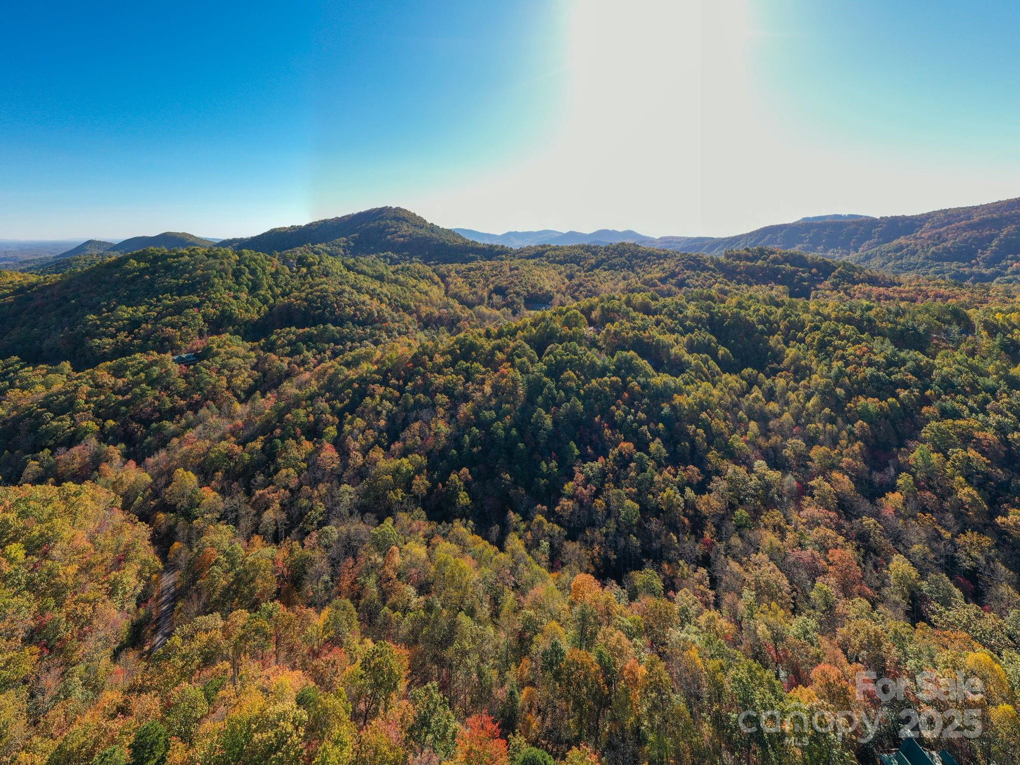 9 Wapama Falls Drive Black Mountain NC 28711