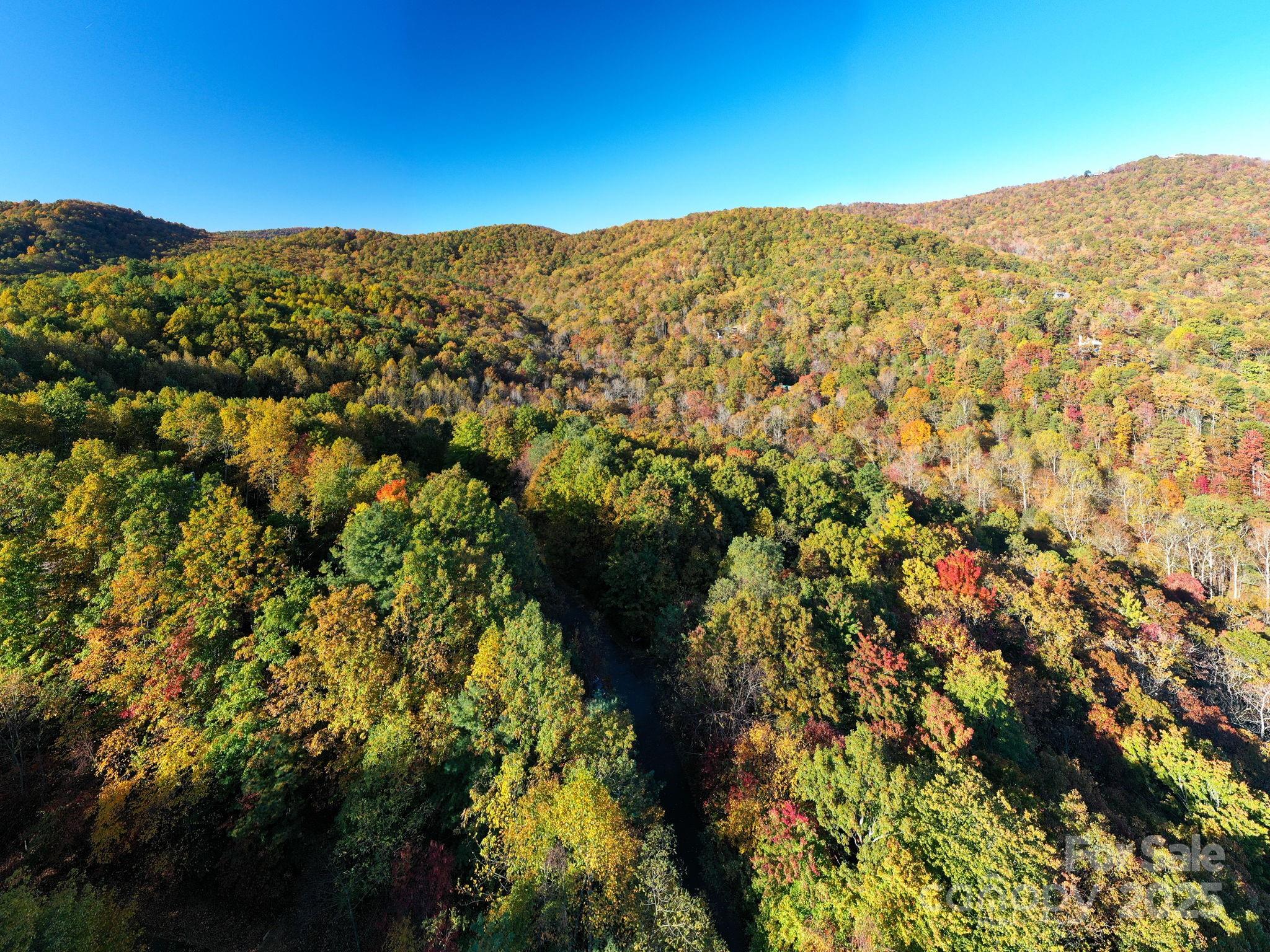9 Wapama Falls Drive Black Mountain NC 28711