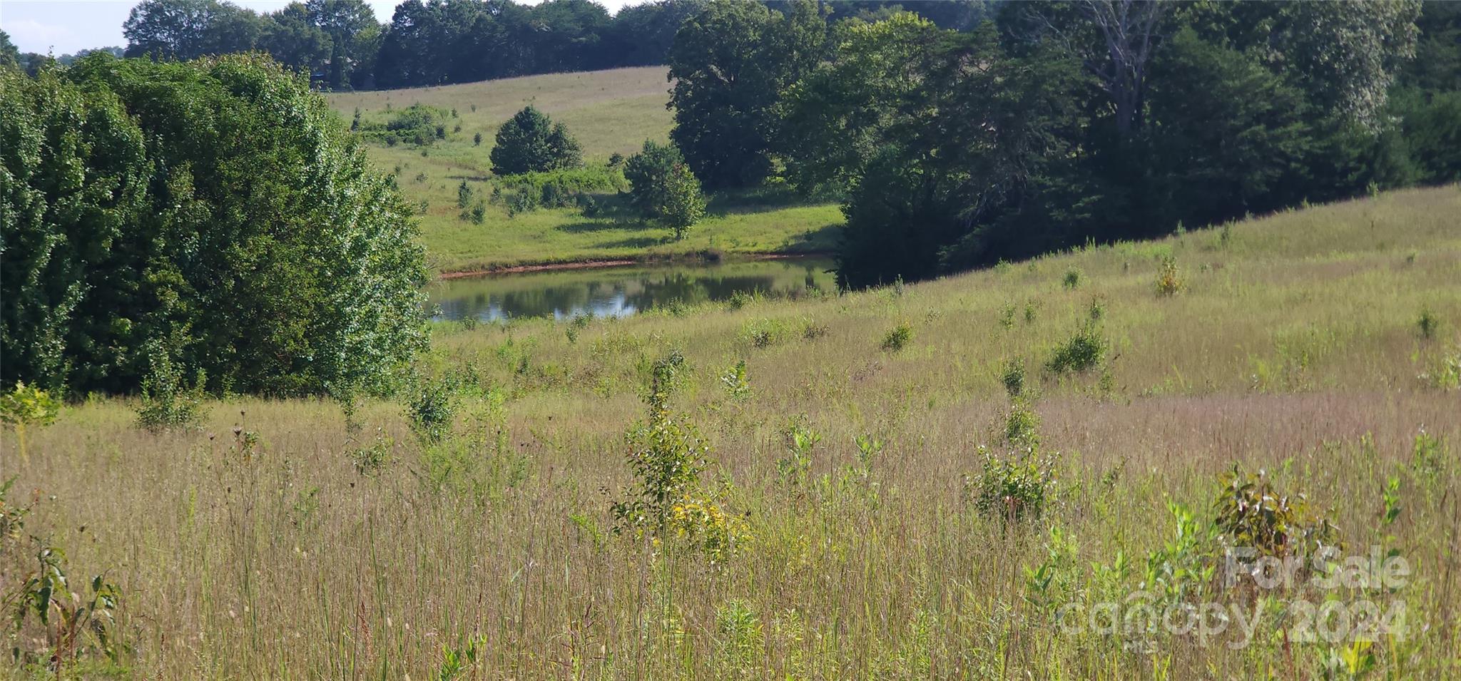 Lot 20 Ar Thompson Road Mill Spring NC 29356
