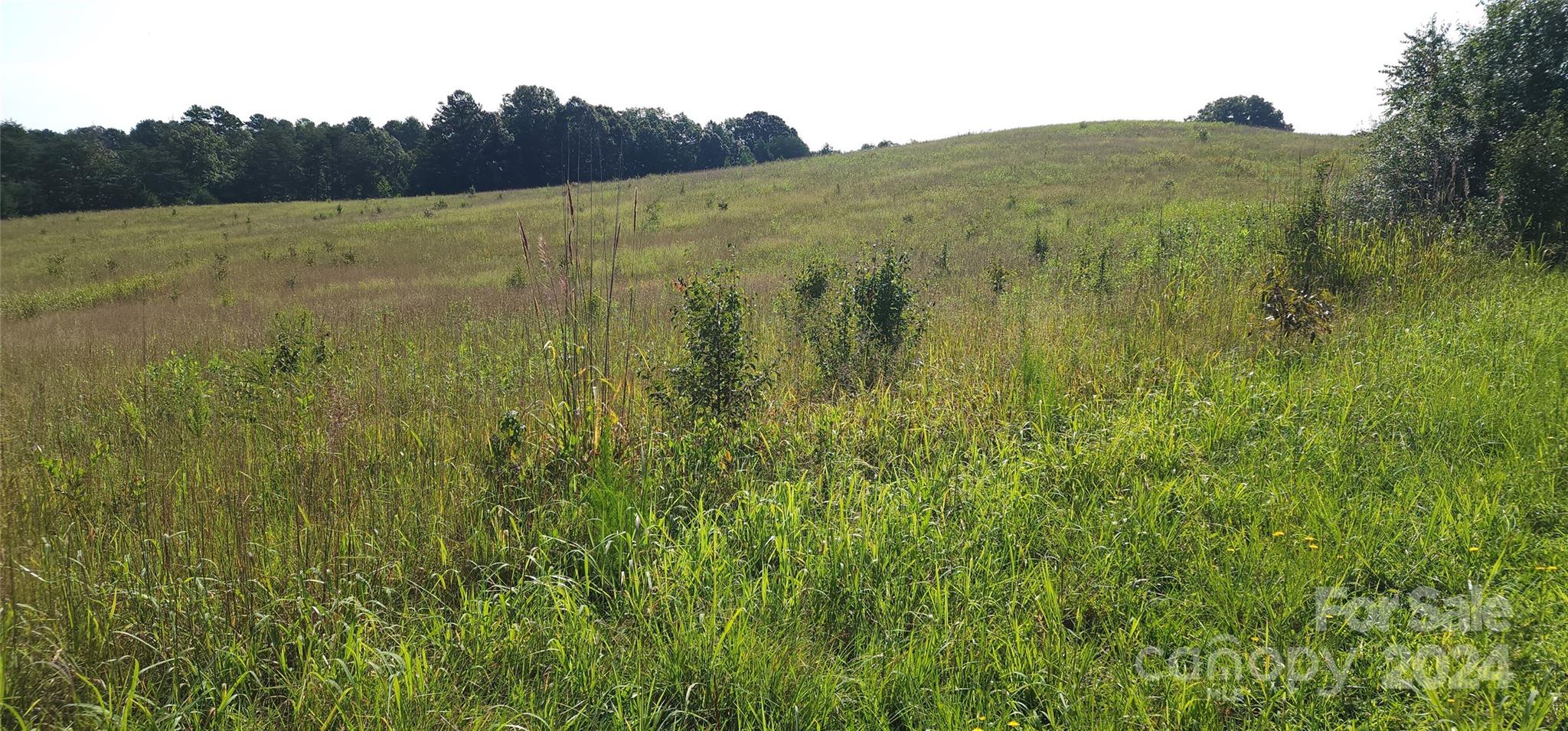Lot 20 Ar Thompson Road Mill Spring NC 29356