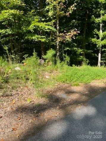 0 Lakeside Drive Union SC 29379