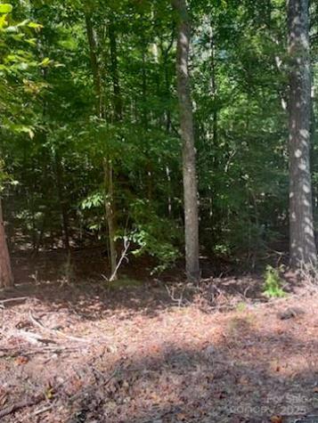 0 Lakeside Drive Union SC 29379