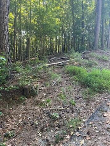 0 Lakeside Drive Union SC 29379