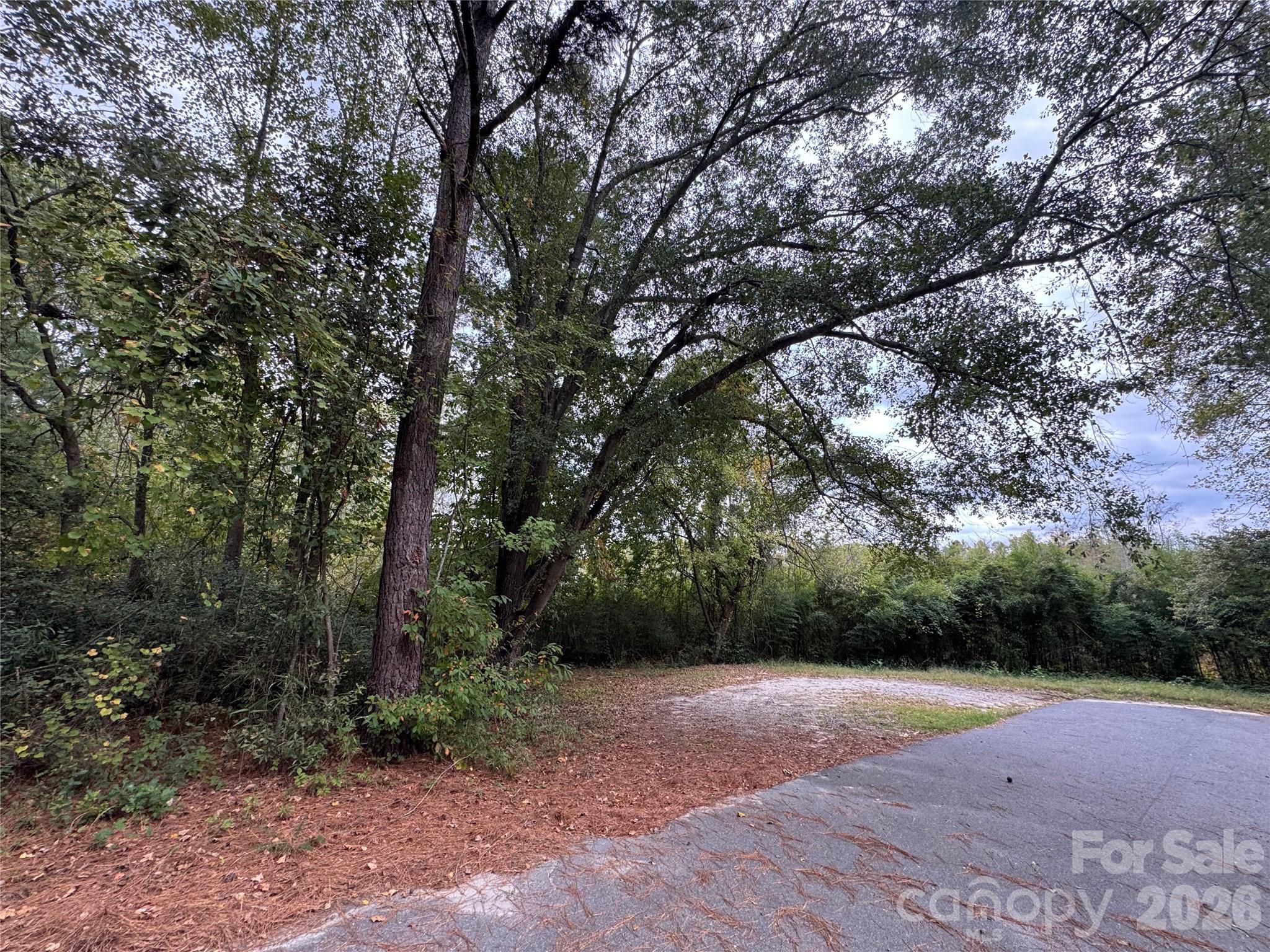 00 Ellen Drive Hamlet NC 28345