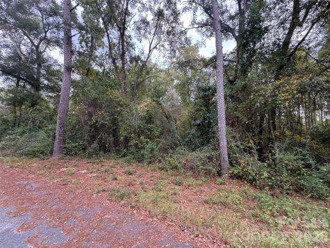 00 Ellen Drive Hamlet NC 28345