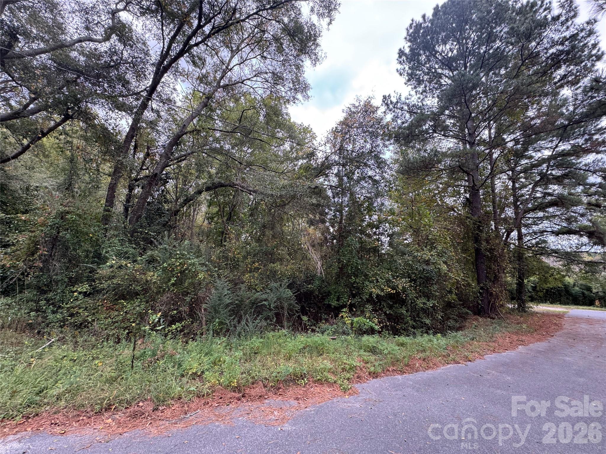 00 Ellen Drive Hamlet NC 28345