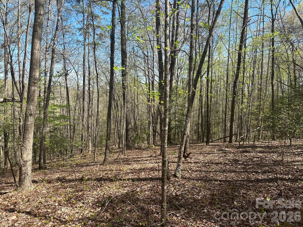 5510 Us Highway 64/74a Lake Lure NC 28746