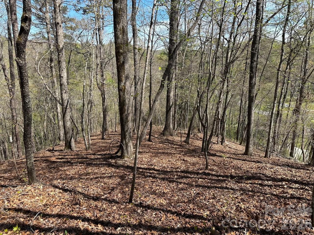 5510 Us Highway 64/74a Lake Lure NC 28746