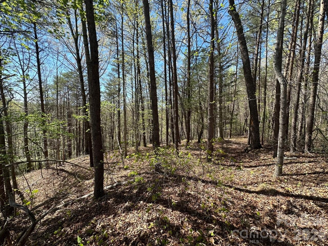 5510 Us Highway 64/74a Lake Lure NC 28746