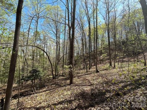 5510 Us Highway 64/74a Lake Lure NC 28746