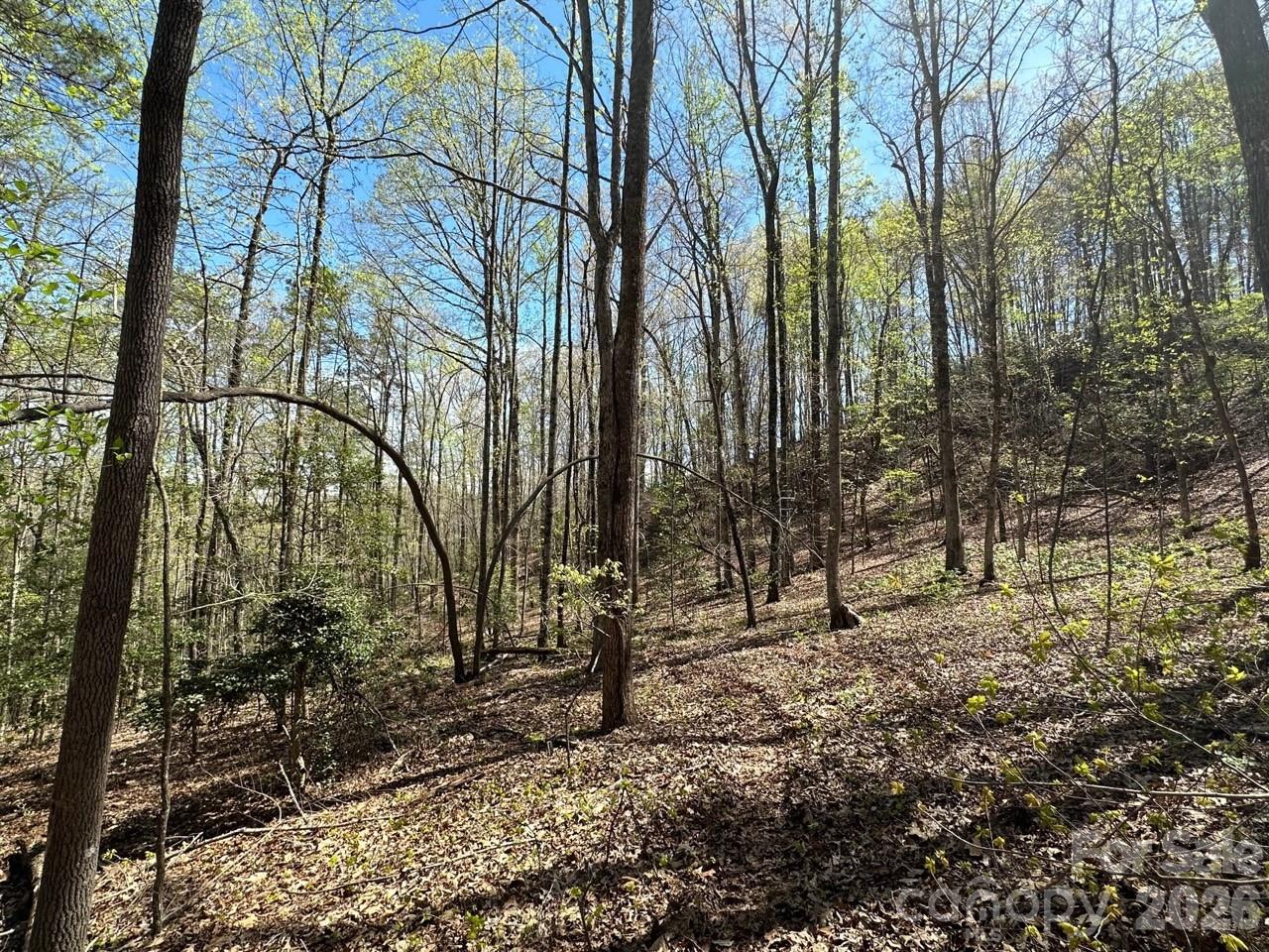 5510 Us Highway 64/74a Lake Lure NC 28746
