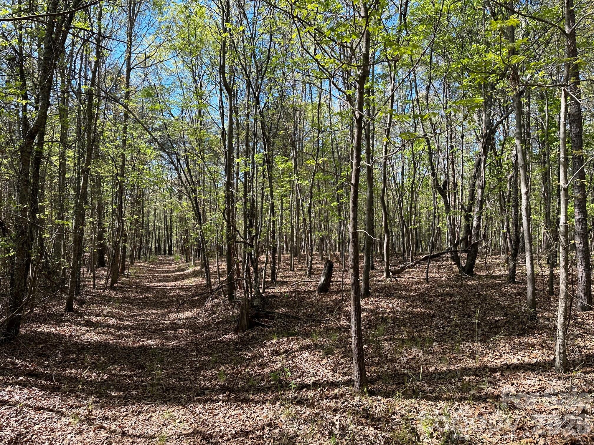 5510 Us Highway 64/74a Lake Lure NC 28746