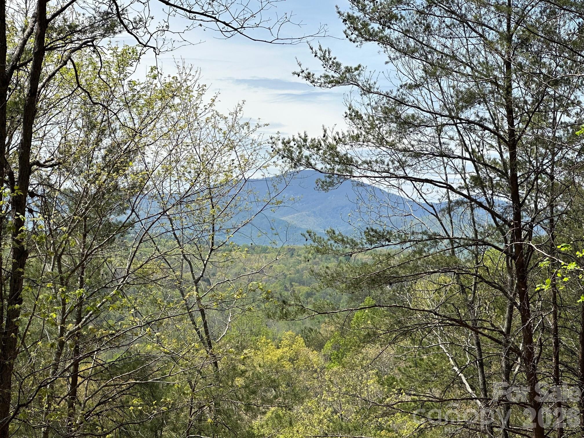 5510 Us Highway 64/74a Lake Lure NC 28746