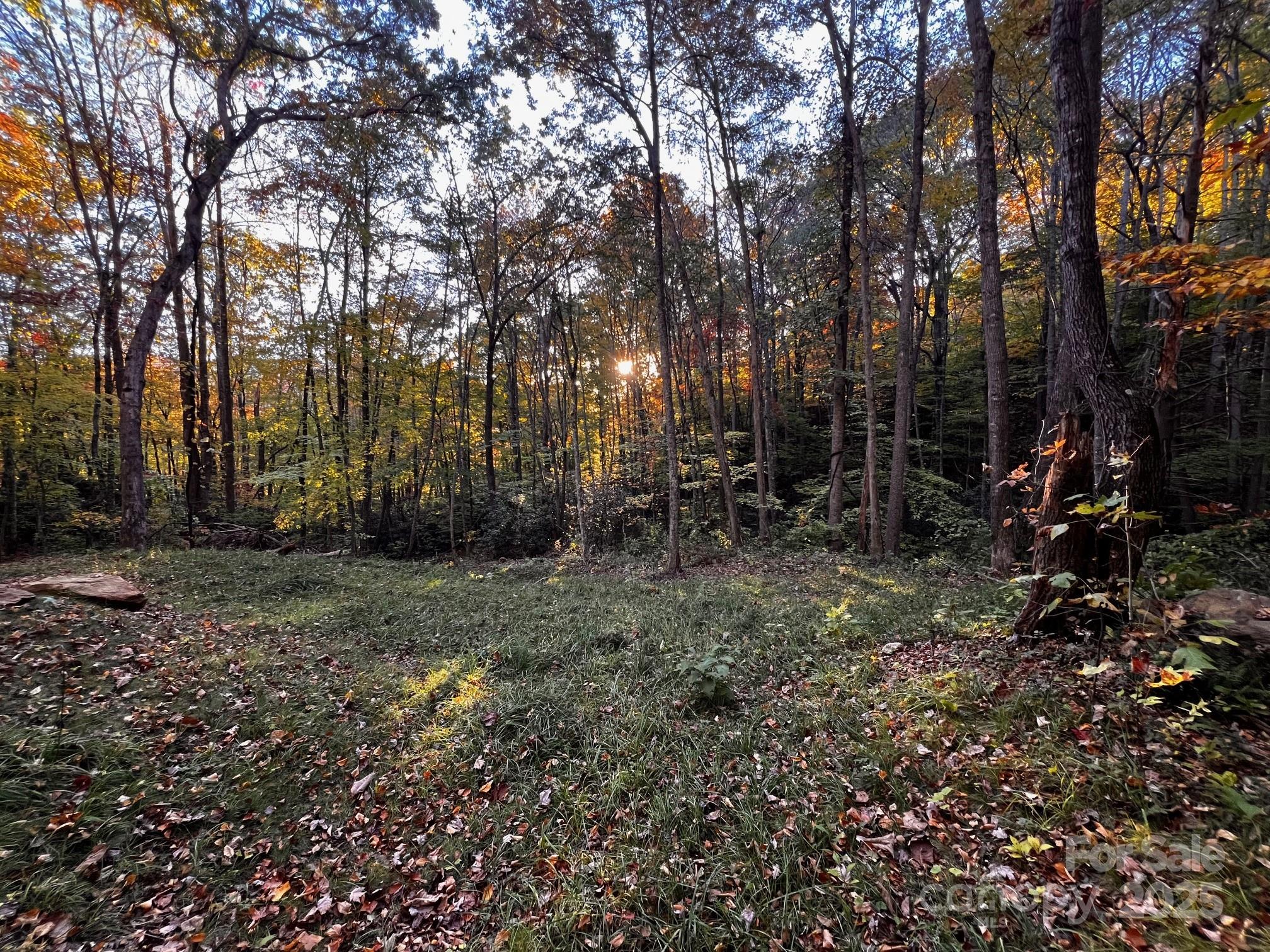 00 Rocky Face Drive Canton NC 28716