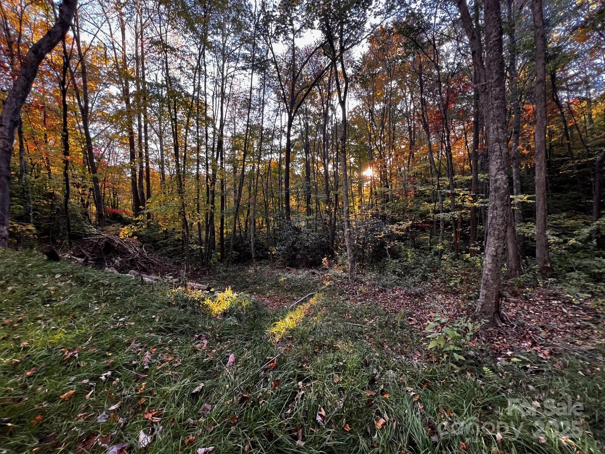 00 Rocky Face Drive Canton NC 28716