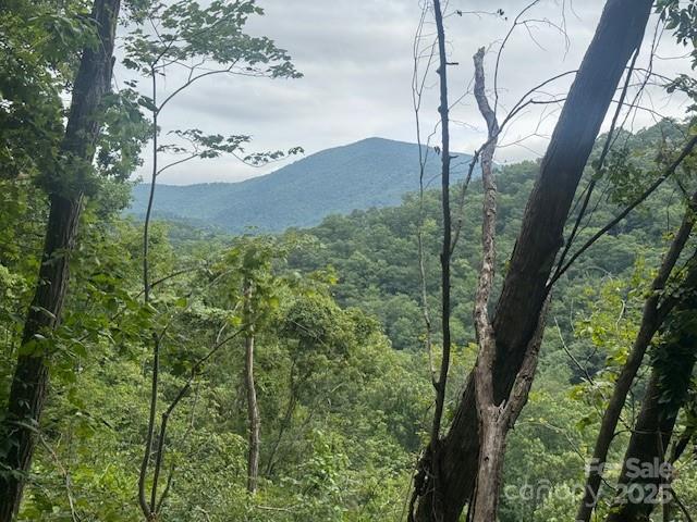 000 N Satellite Mountain Road N Burnsville NC 28714