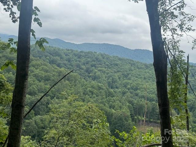 000 N Satellite Mountain Road N Burnsville NC 28714