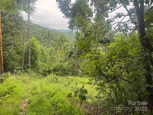 000 N Satellite Mountain Road N Burnsville NC 28714