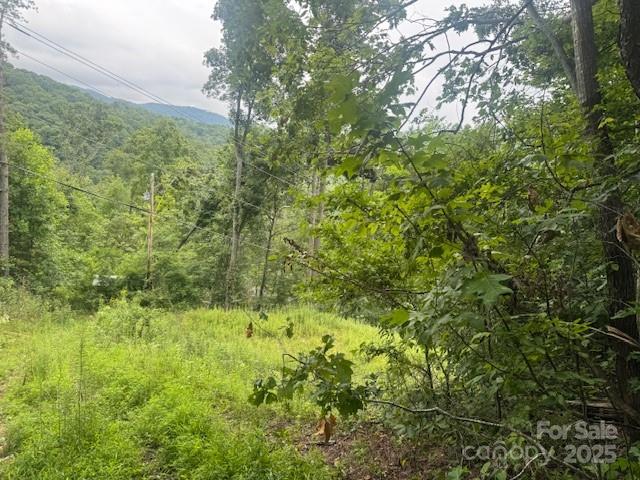 000 N Satellite Mountain Road N Burnsville NC 28714