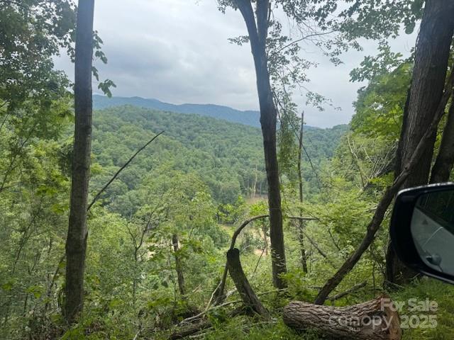 000 N Satellite Mountain Road N Burnsville NC 28714