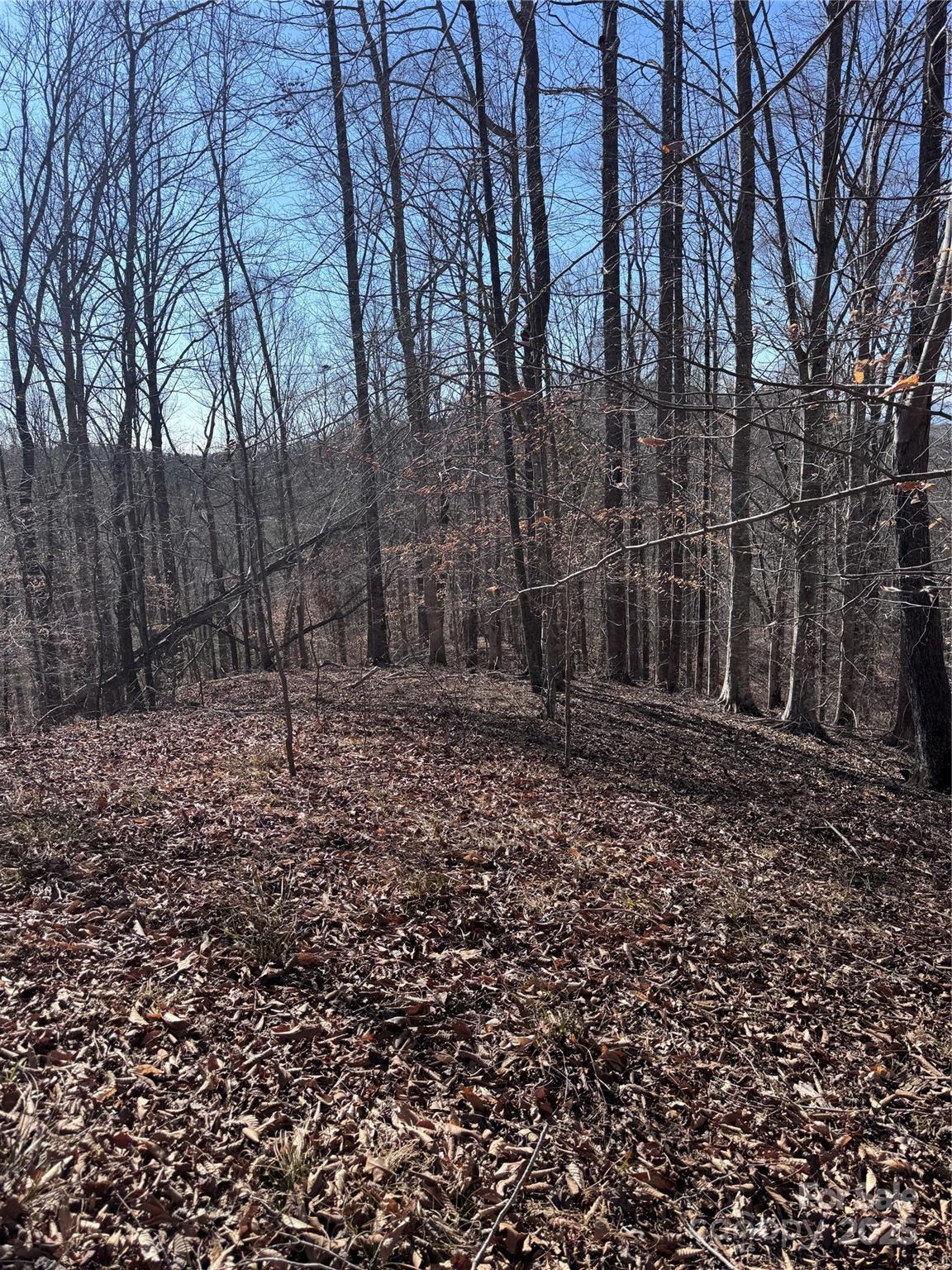 0 Cross Creek Drive Rutherfordton NC 28139