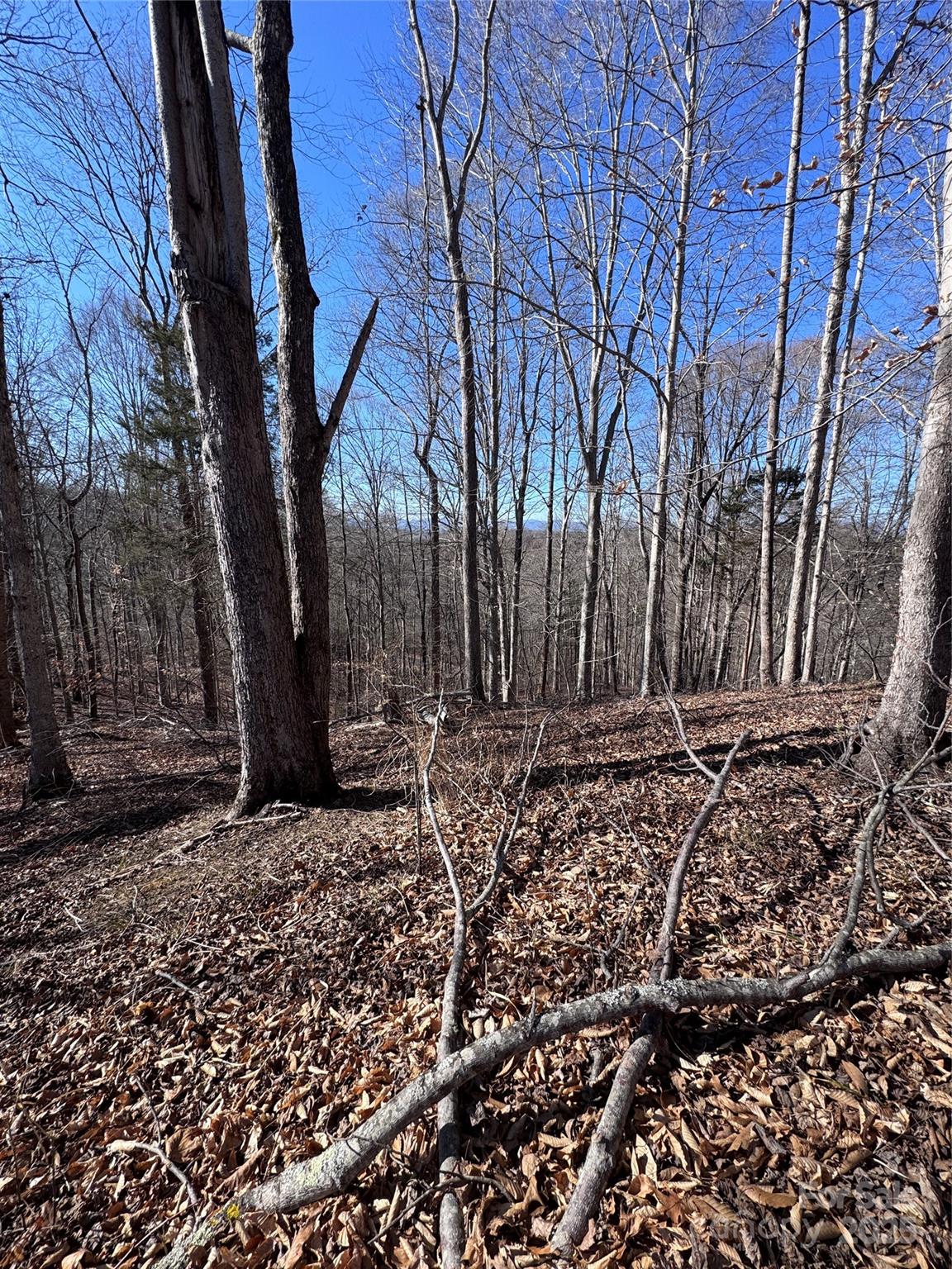 0 Cross Creek Drive Rutherfordton NC 28139