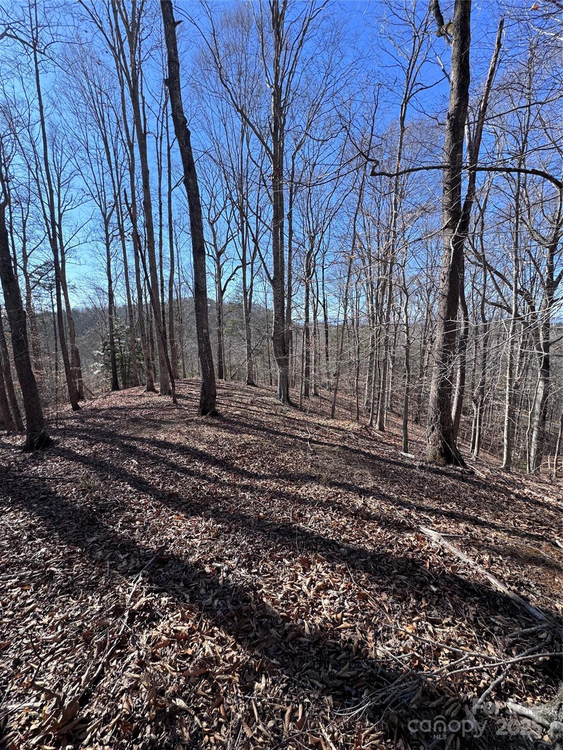 0 Cross Creek Drive Rutherfordton NC 28139