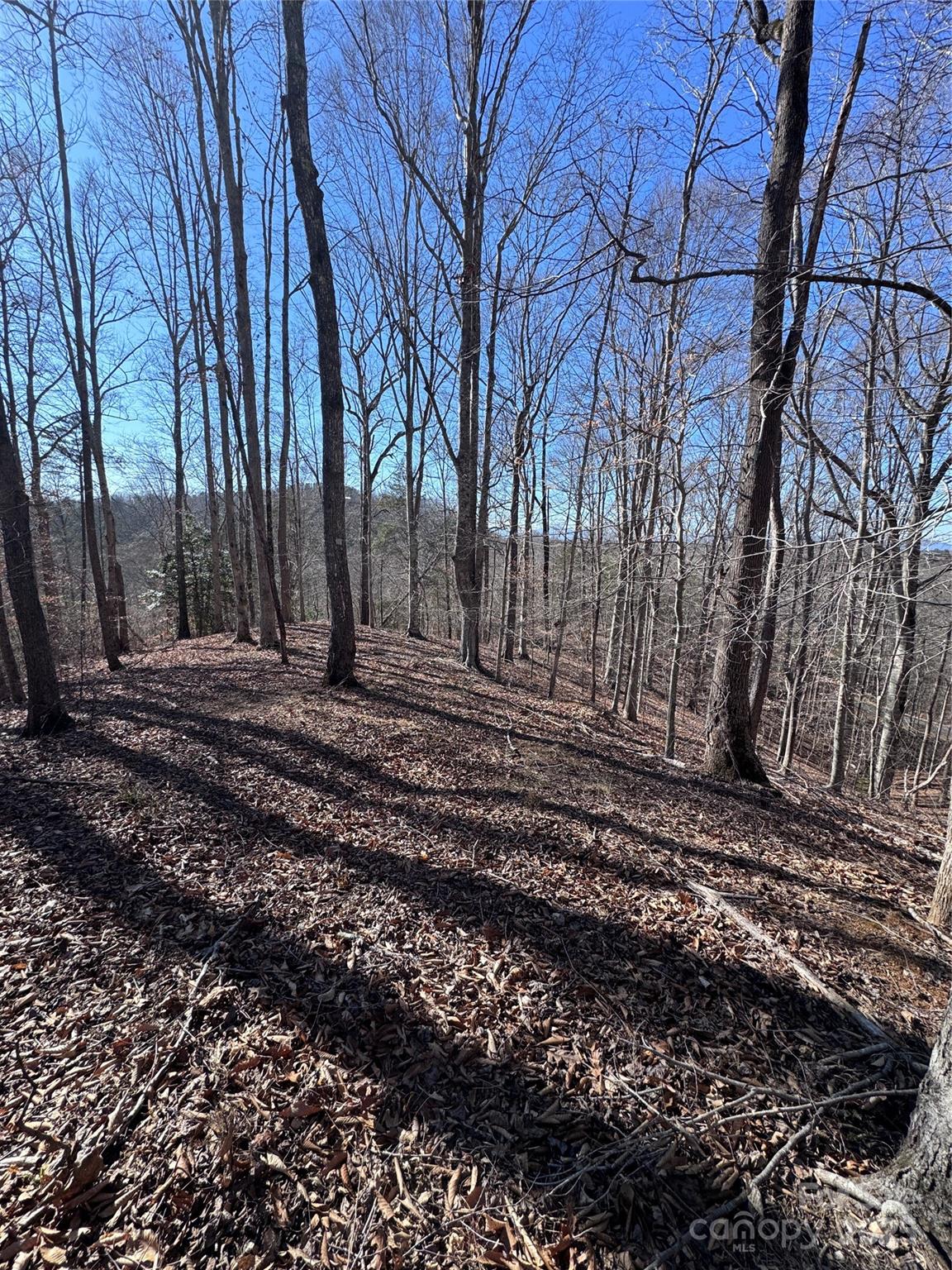 0 Cross Creek Drive Rutherfordton NC 28139
