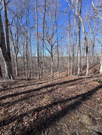 0 Cross Creek Drive Rutherfordton NC 28139