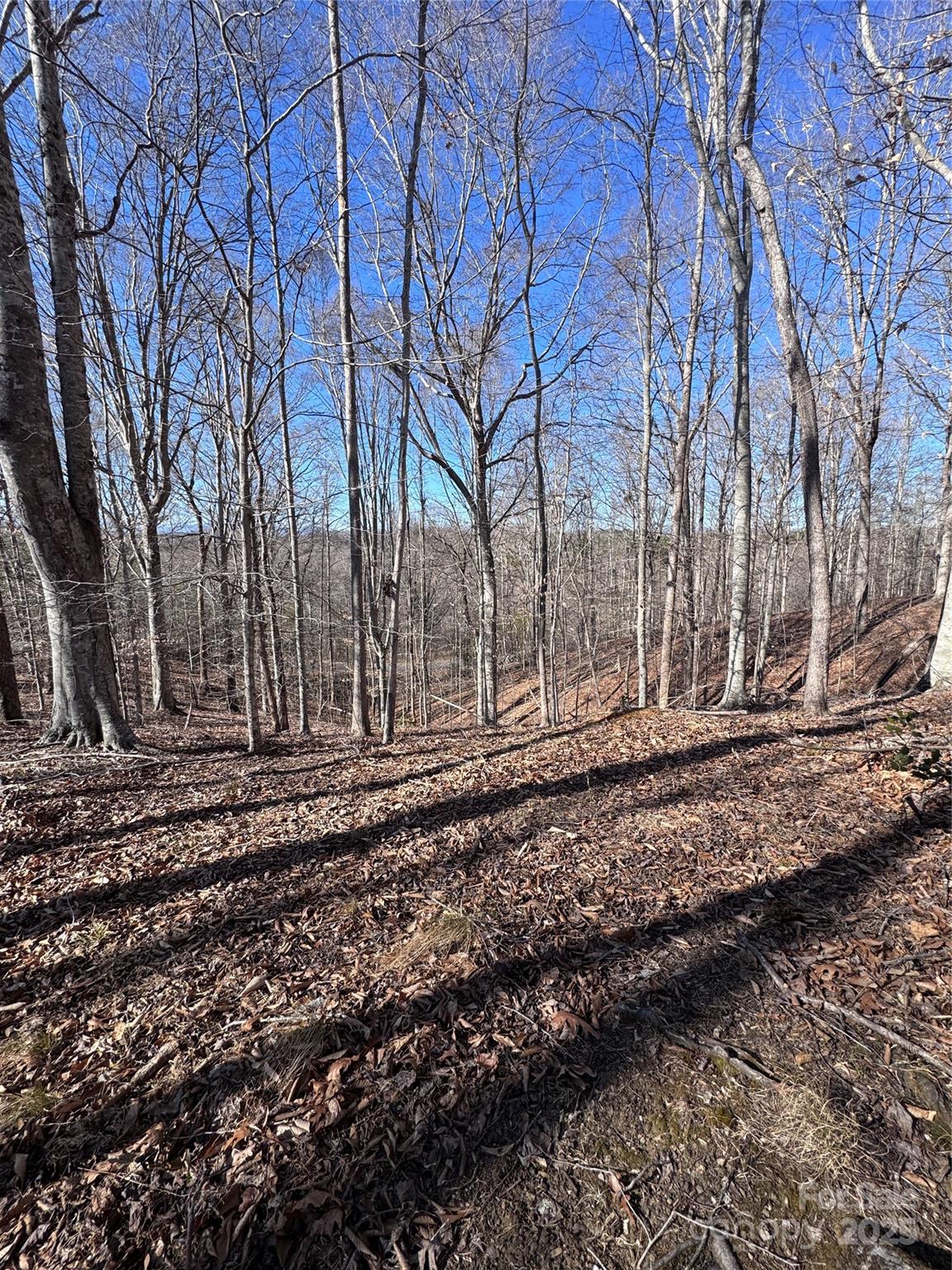 0 Cross Creek Drive Rutherfordton NC 28139