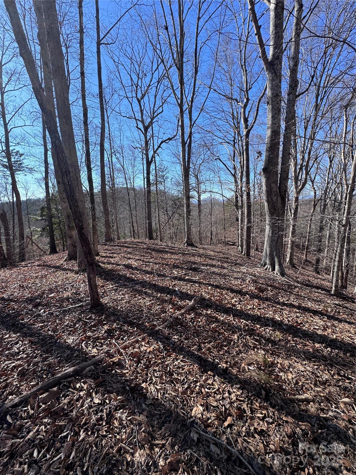 0 Cross Creek Drive Rutherfordton NC 28139
