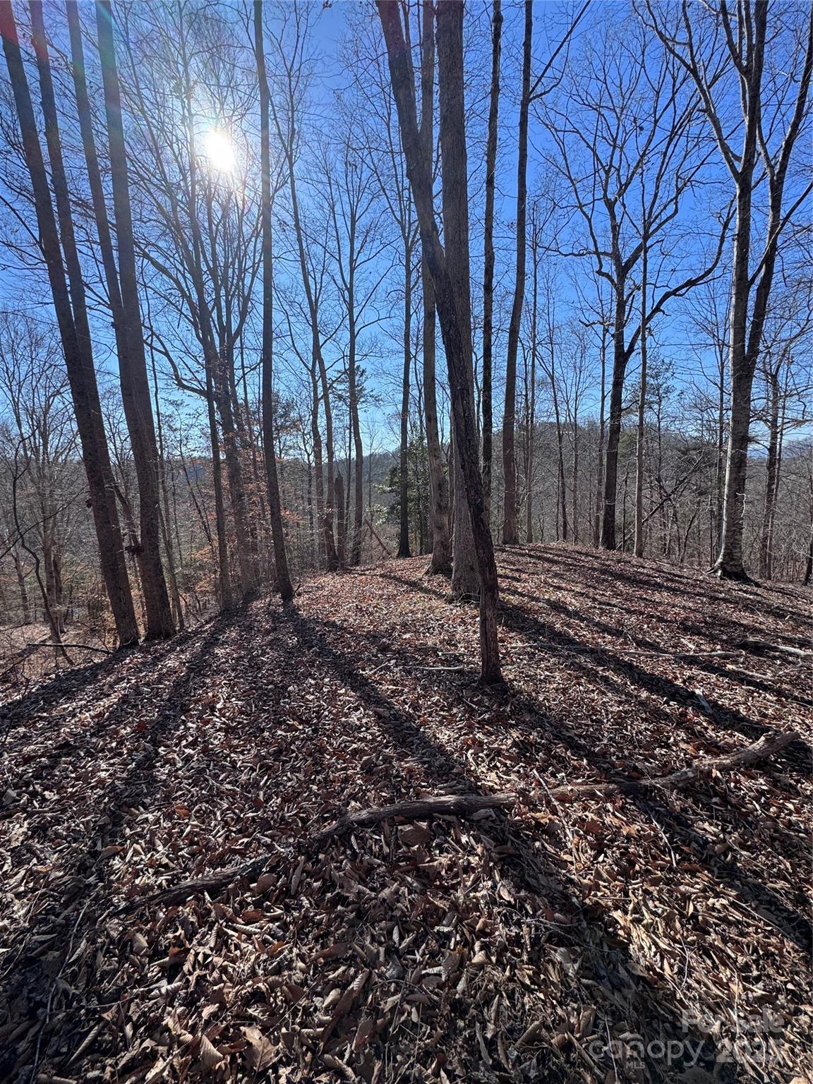 0 Cross Creek Drive Rutherfordton NC 28139